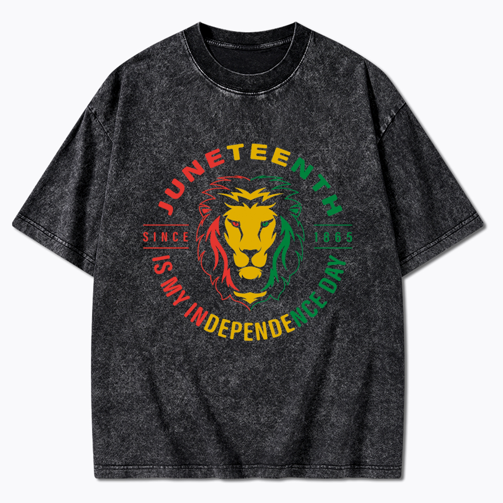 Juneteenth History Washed T-Shirt