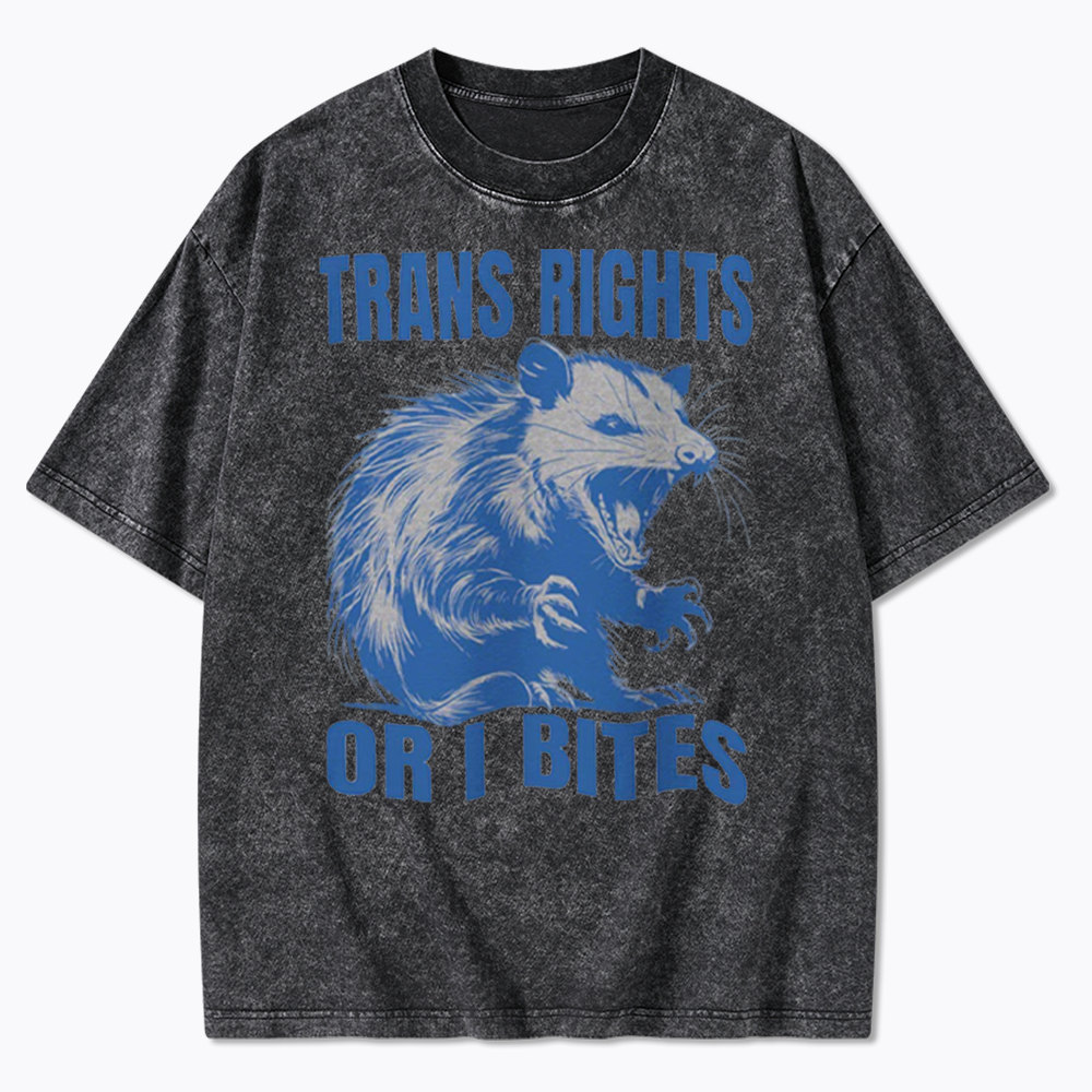 Trans Rights Washed T-Shirt