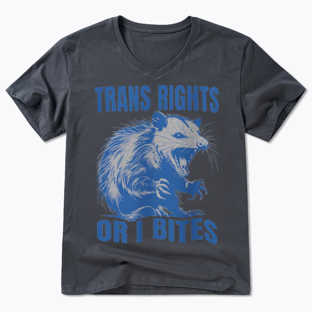 Trans Rights V-Neck Classic T-Shirt