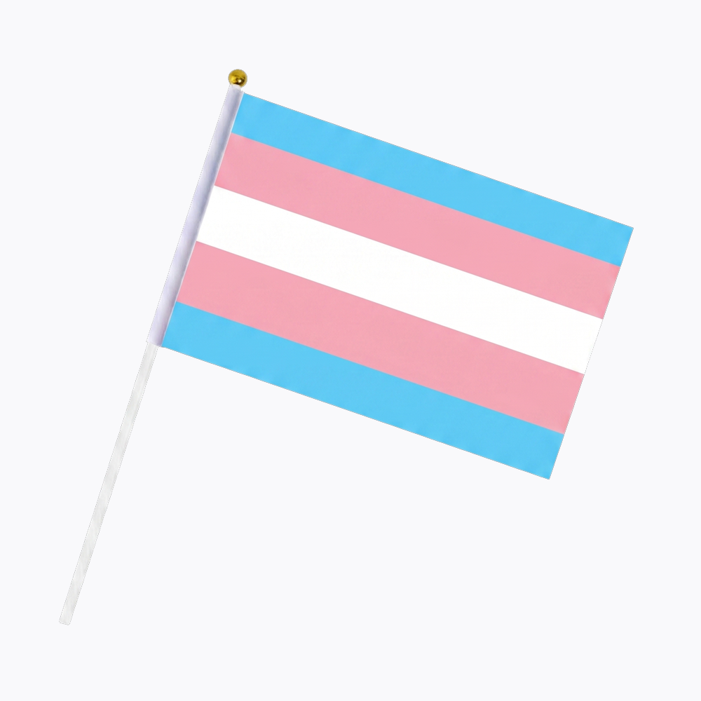 Pride Month Hnad Flag