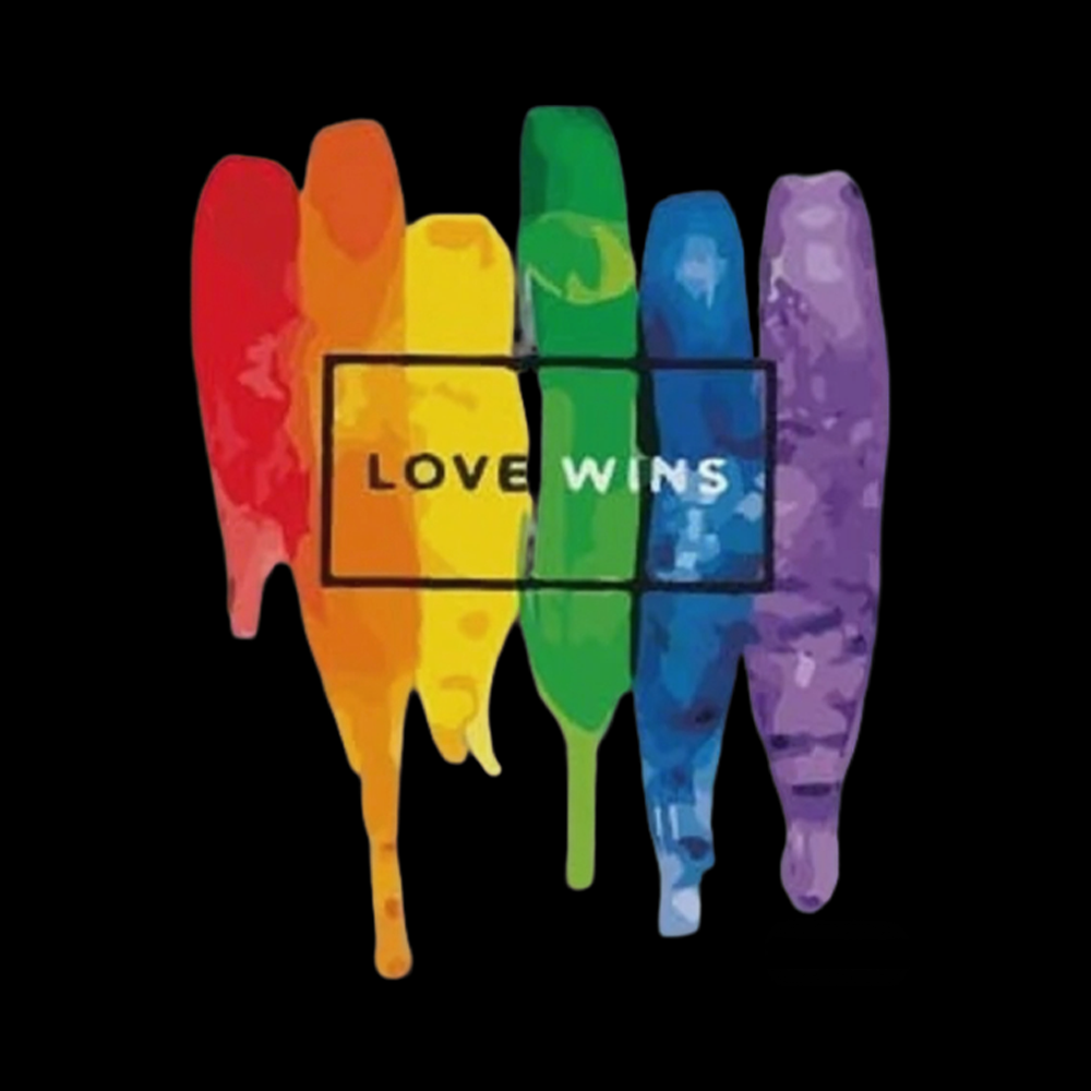 Love Wins V-Neck Classic T-Shirt