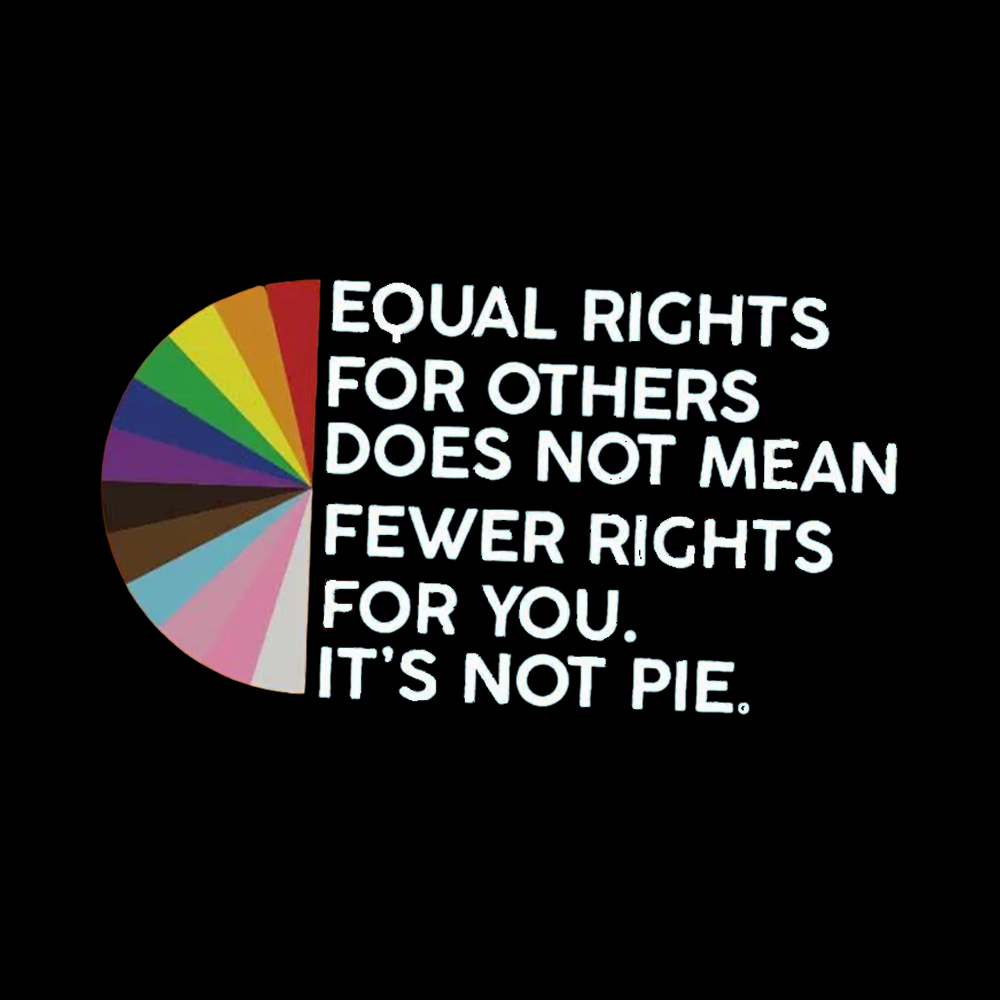 Equal Rights for Others Washed T-Shirt