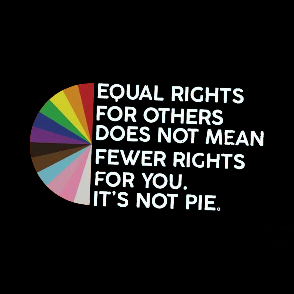 Equal Rights for Others V-Neck Classic T-Shirt