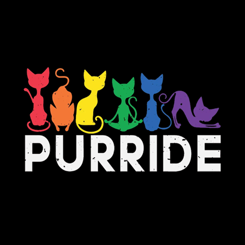 Purride Cat Washed T-Shirt