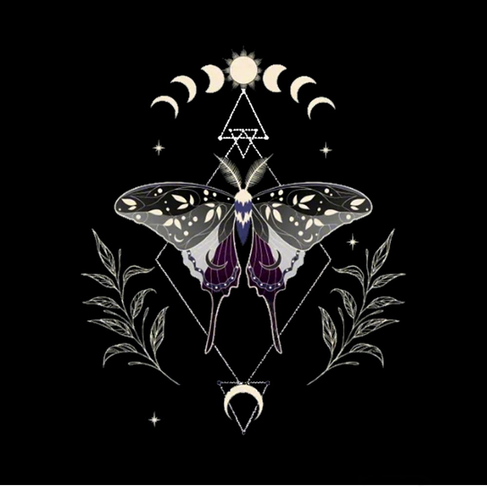 Asexual Pride Washed T-Shirts