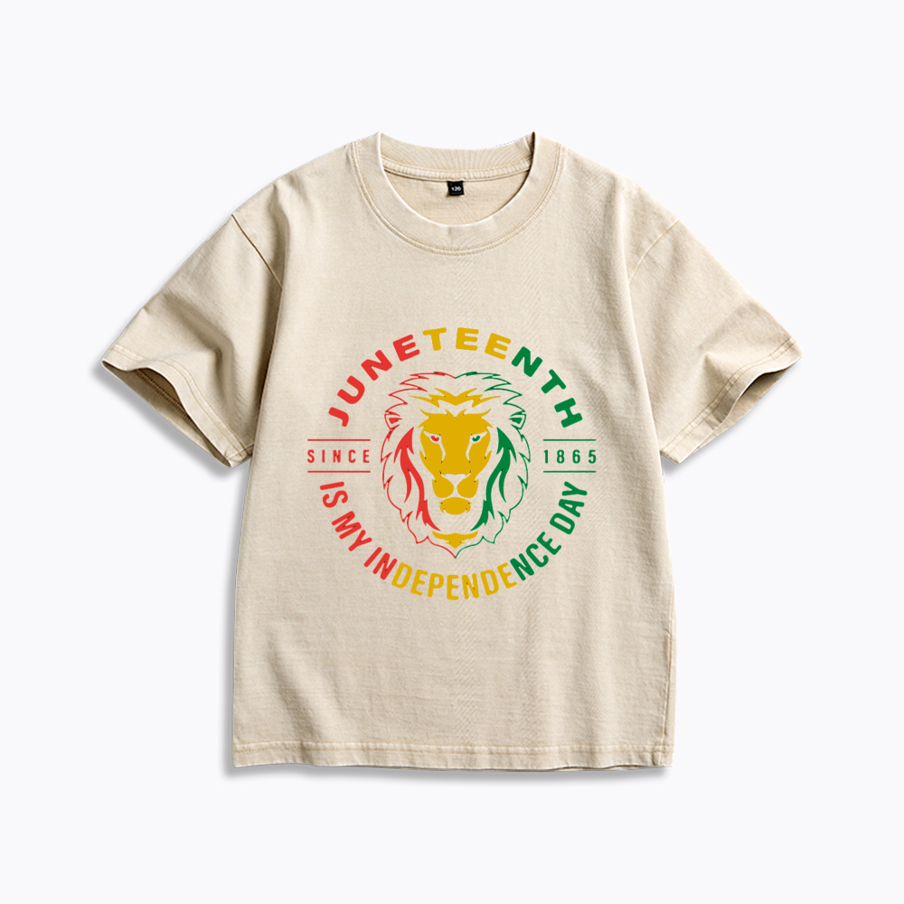 Juneteenth History Kids Washed T-Shirt