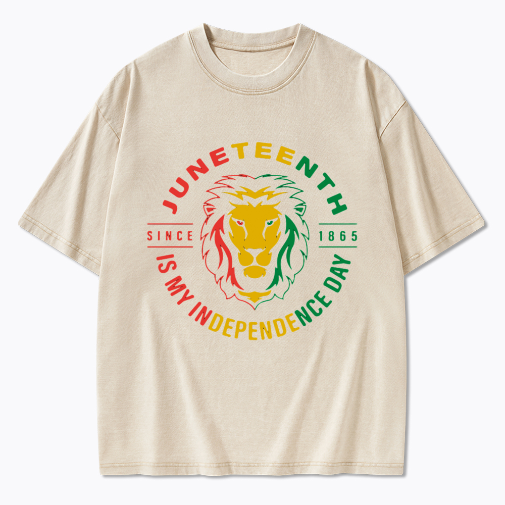 Juneteenth History Washed T-Shirt