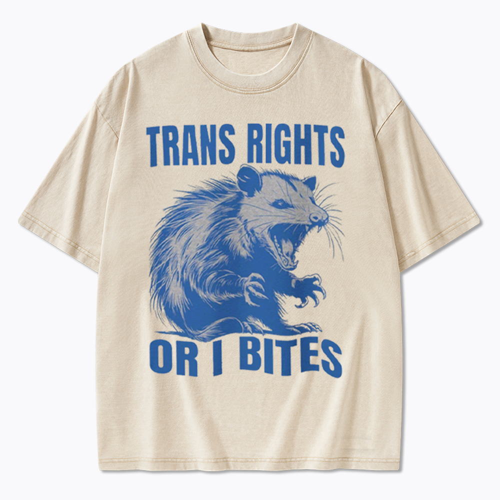 Trans Rights Washed T-Shirt