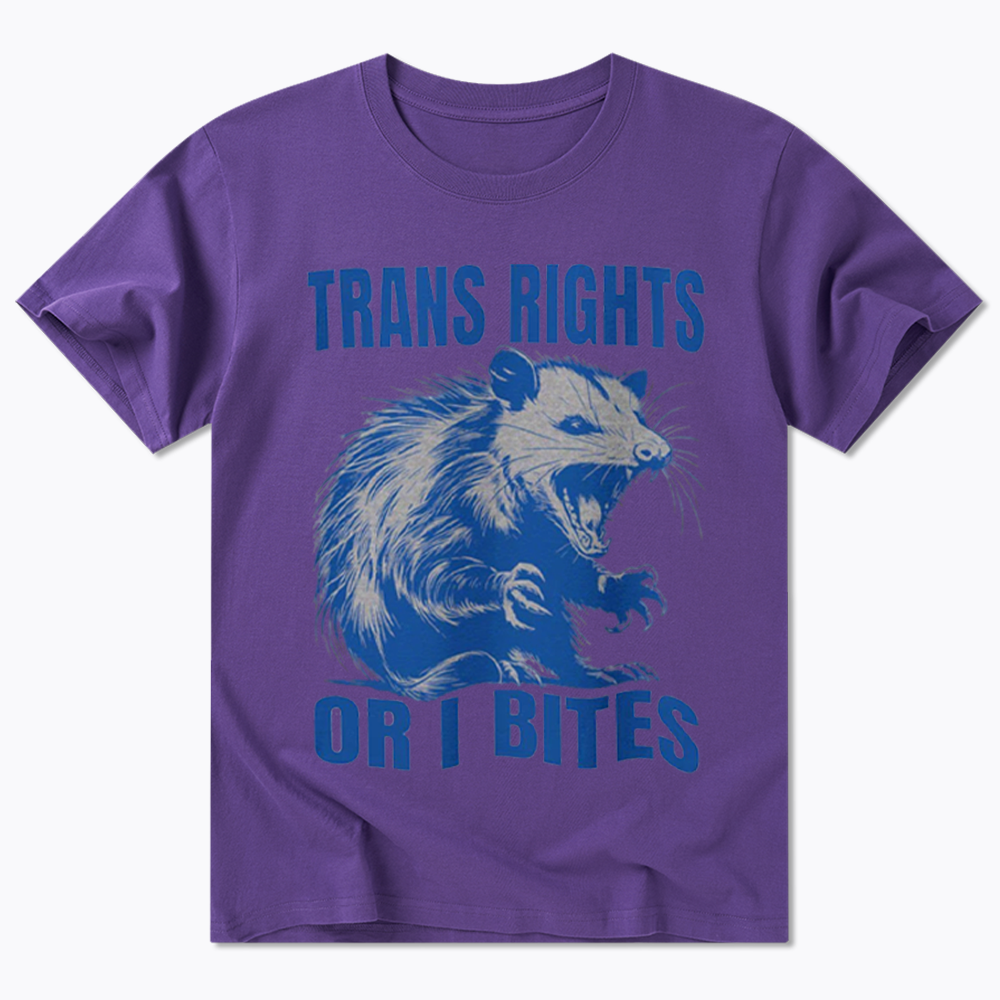 Trans Rights Classic T-Shirt