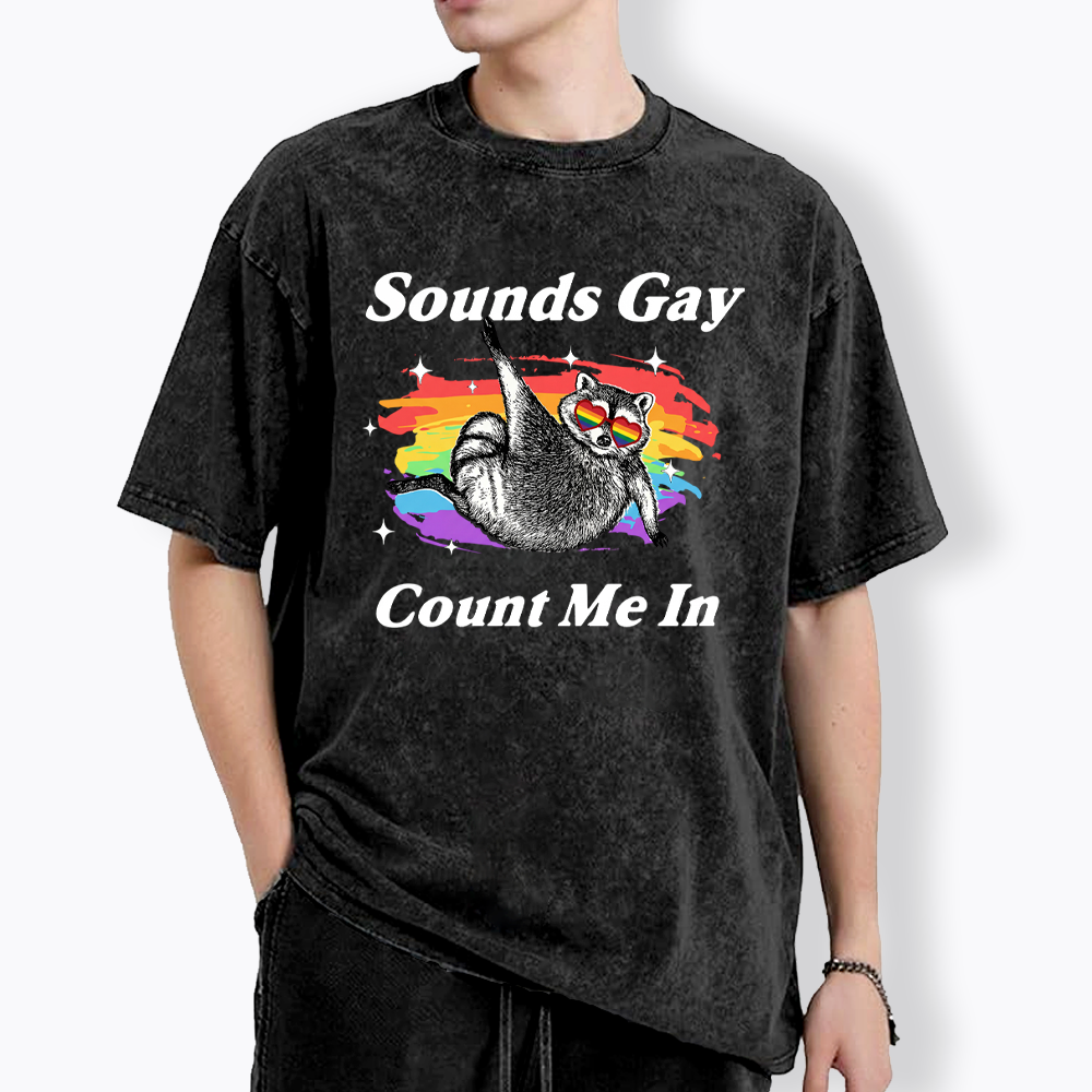 Sounds Gay Raccoon Pride  Washed T-Shirt