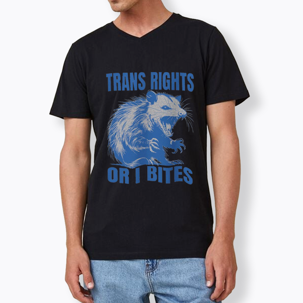 Trans Rights V-Neck Classic T-Shirt