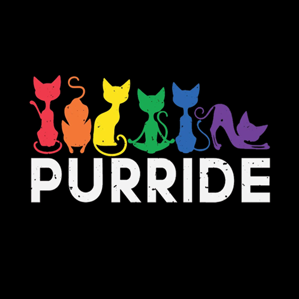 Purride Cat Off Shoulder T-shirt