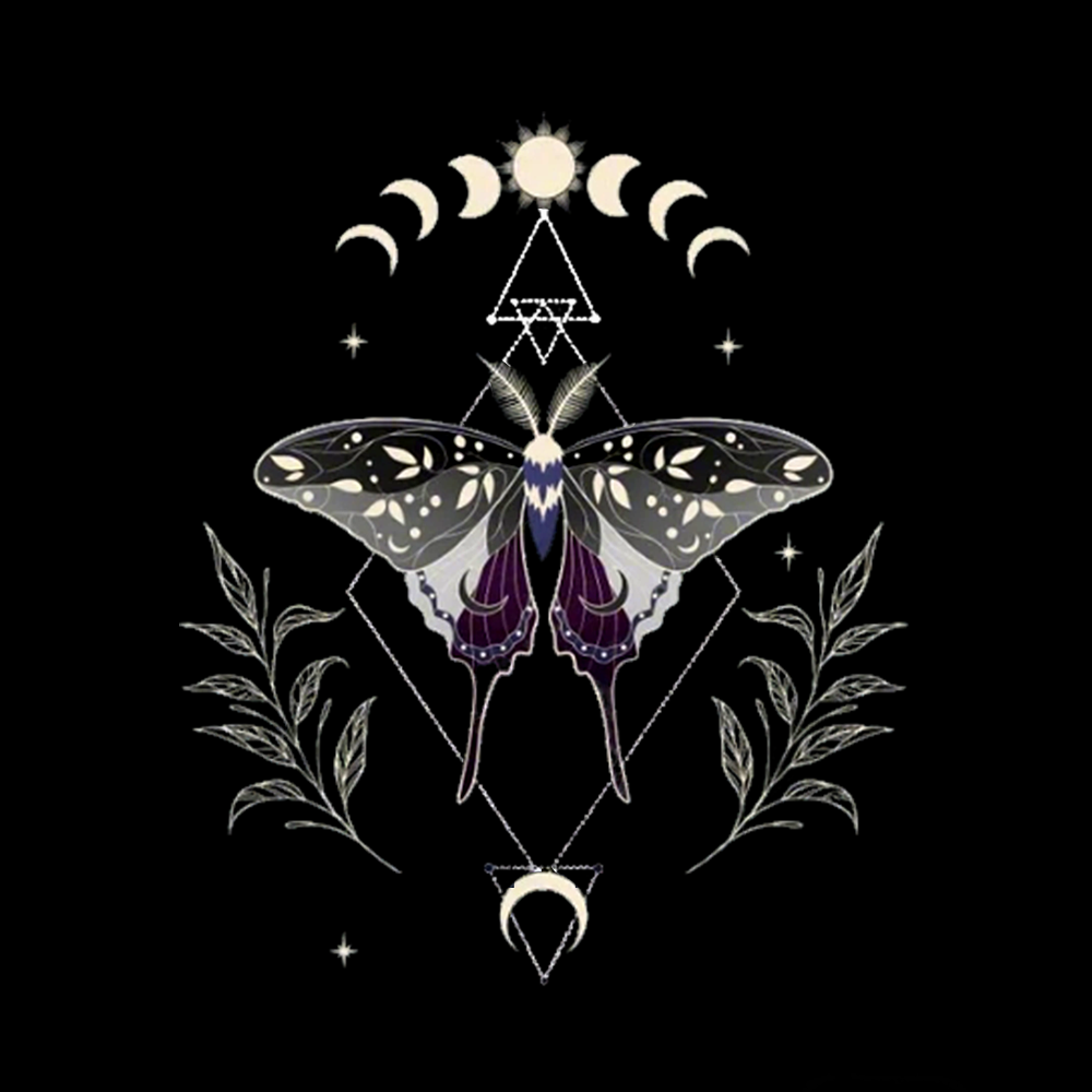 Asexual Pride Off Shoulder T-shirts