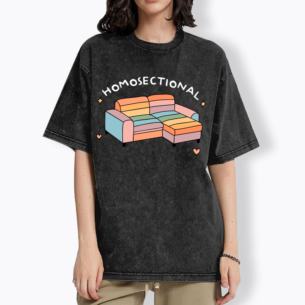 Homosectional Funny LGBTQ+ Pride Washed T-Shirt