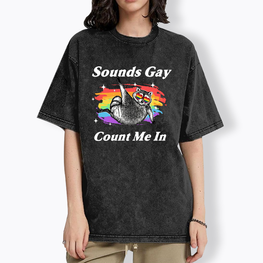 Sounds Gay Raccoon Pride  Washed T-Shirt