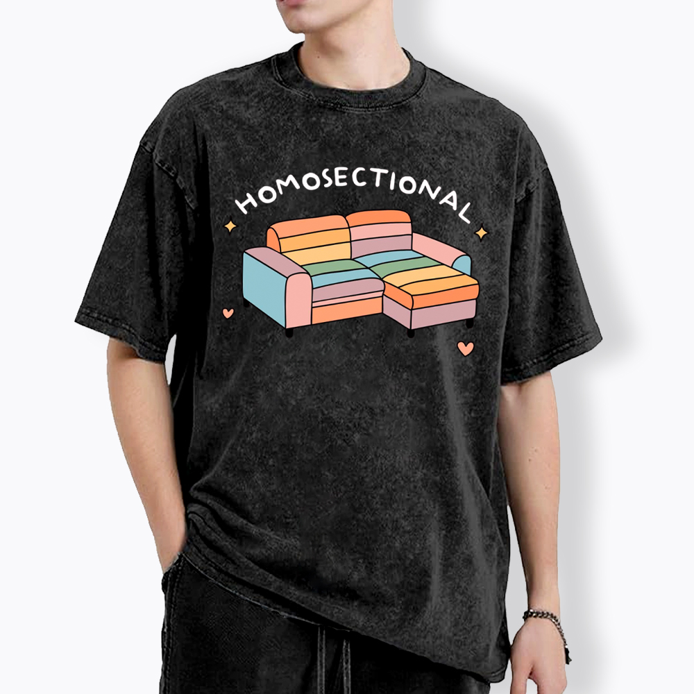Homosectional Funny LGBTQ+ Pride Washed T-Shirt