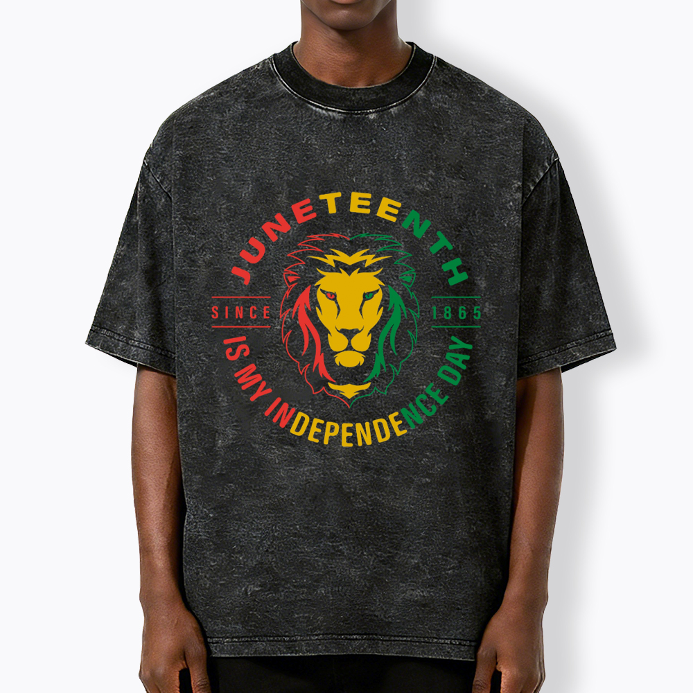 Juneteenth History Washed T-Shirt