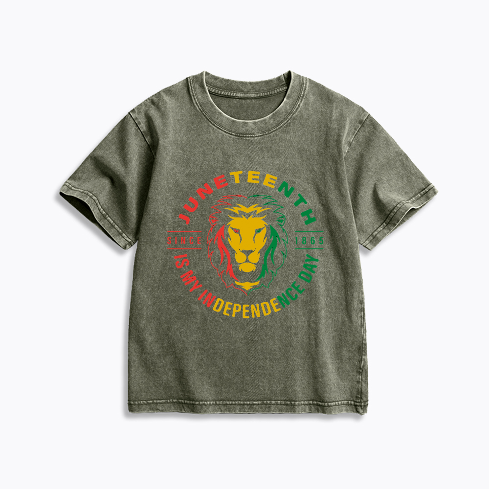 Juneteenth History Kids Washed T-Shirt