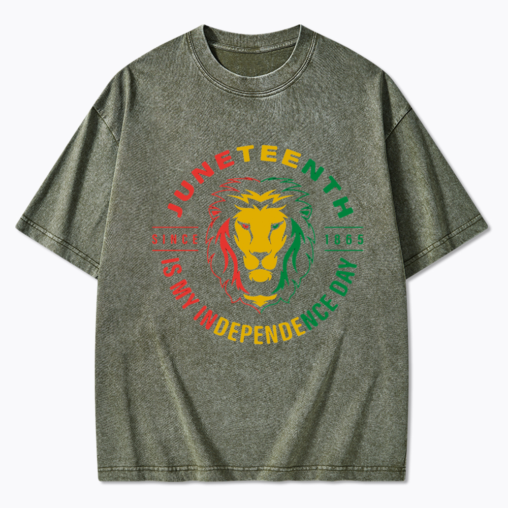 Juneteenth History Washed T-Shirt