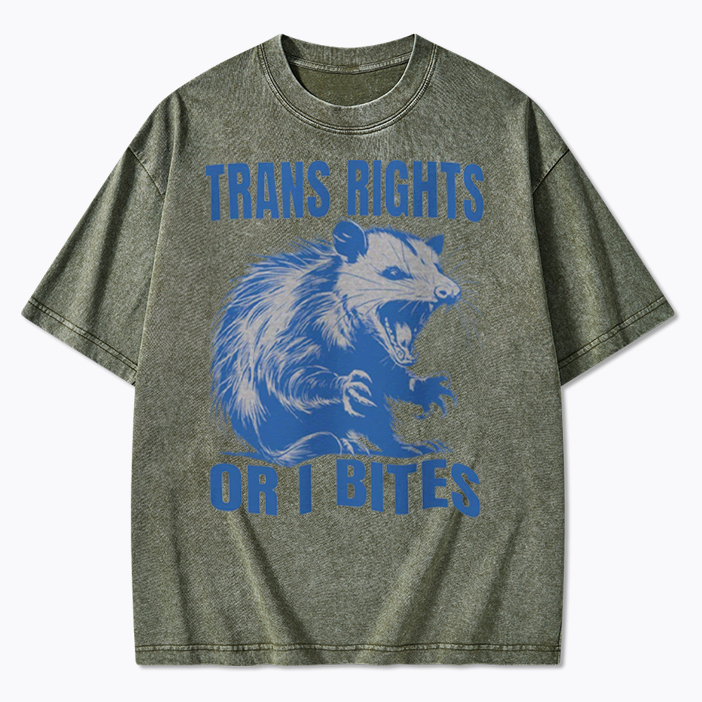 Trans Rights Washed T-Shirt