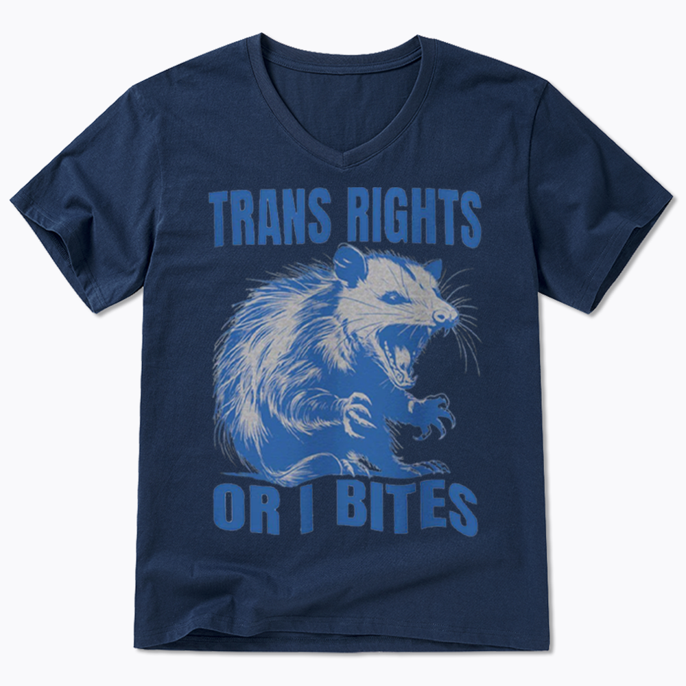 Trans Rights V-Neck Classic T-Shirt