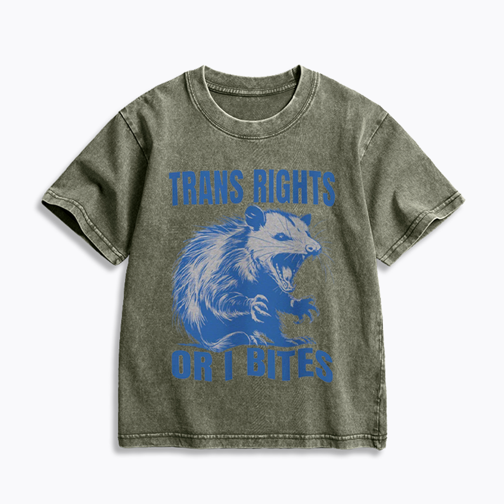 Trans Rights Kids Washed T-Shirt 