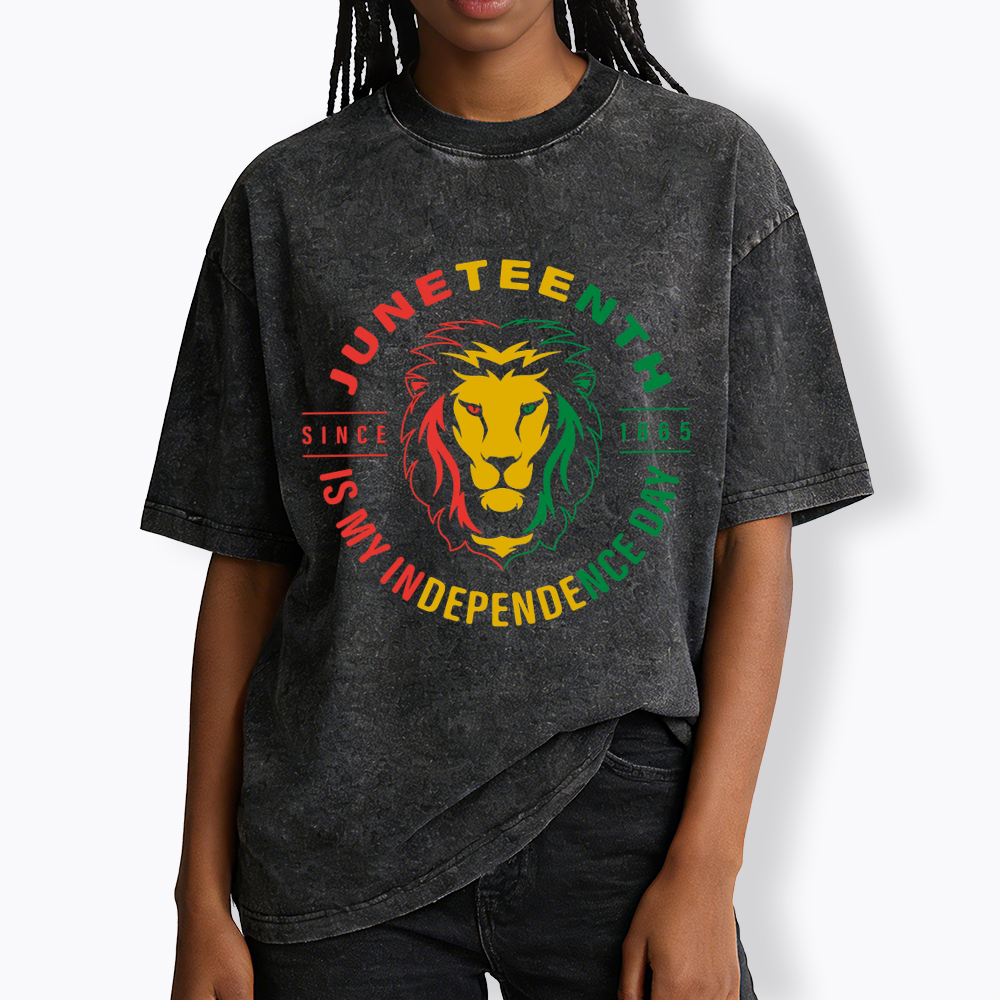 Juneteenth History Washed T-Shirt