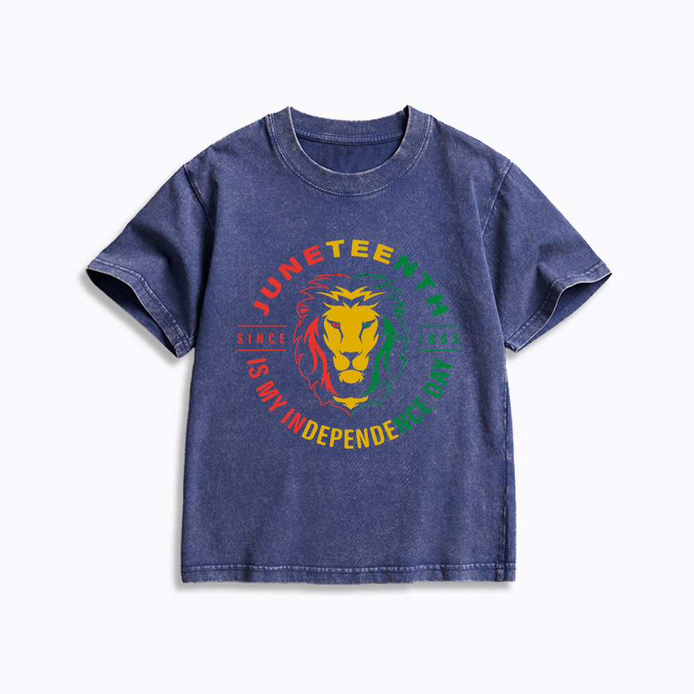 Juneteenth History Kids Washed T-Shirt