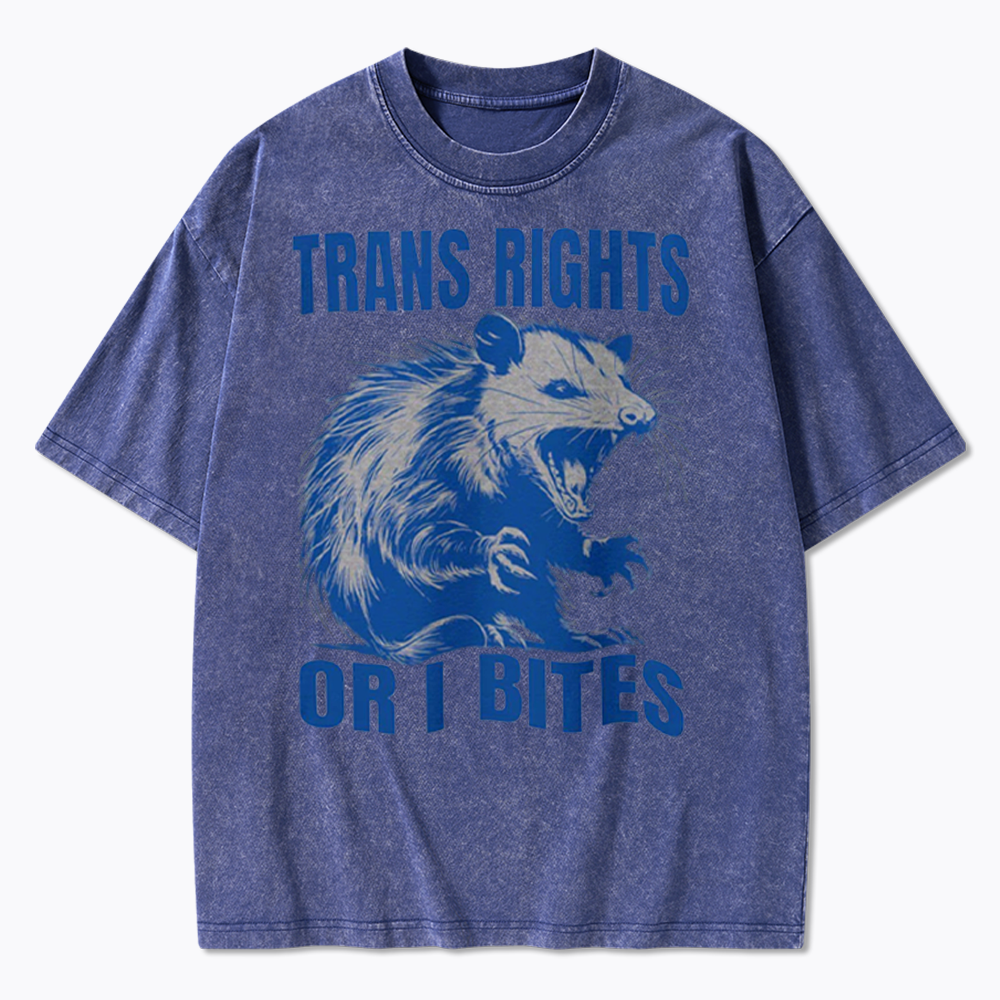 Trans Rights Washed T-Shirt