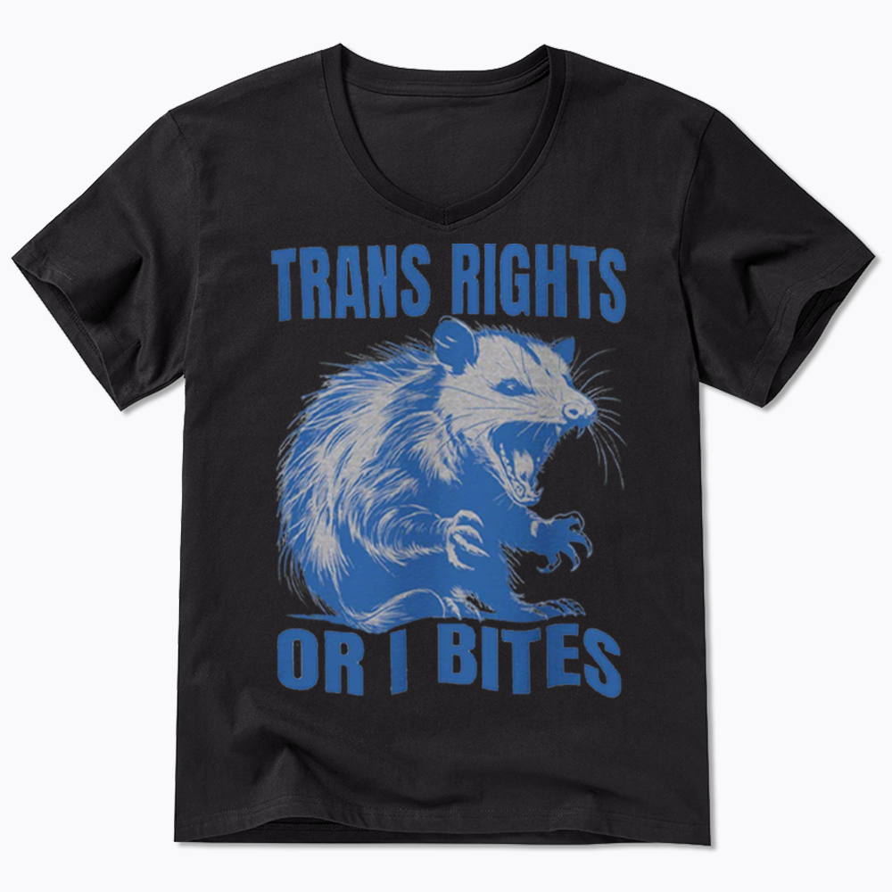 Trans Rights V-Neck Classic T-Shirt
