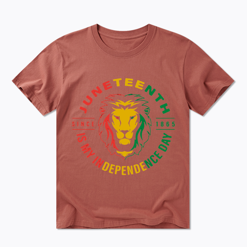 Juneteenth History Classic T-Shirt
