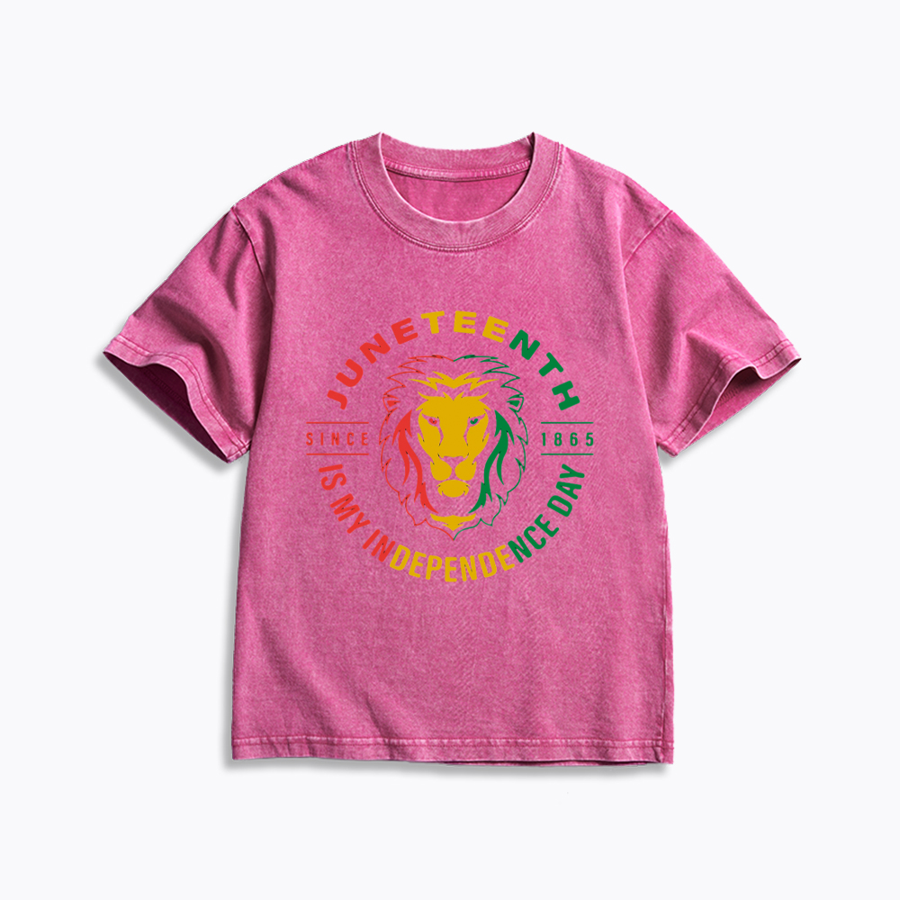 Juneteenth History Kids Washed T-Shirt