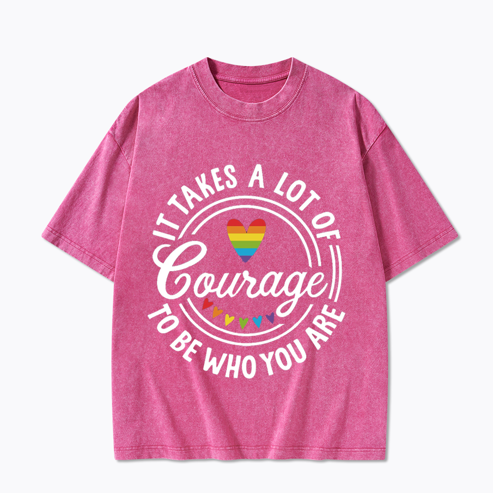 Equal Rights Washed T-Shirt