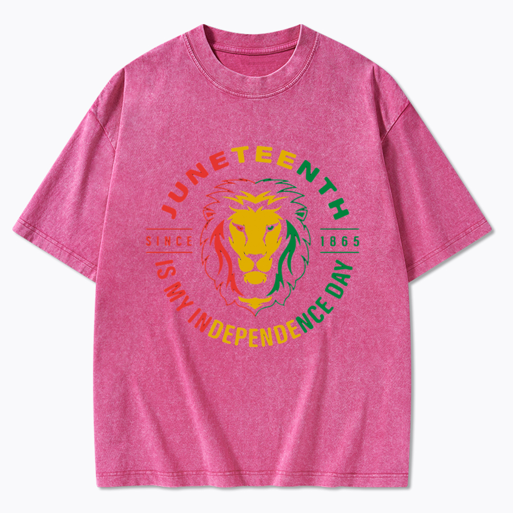 Juneteenth History Washed T-Shirt