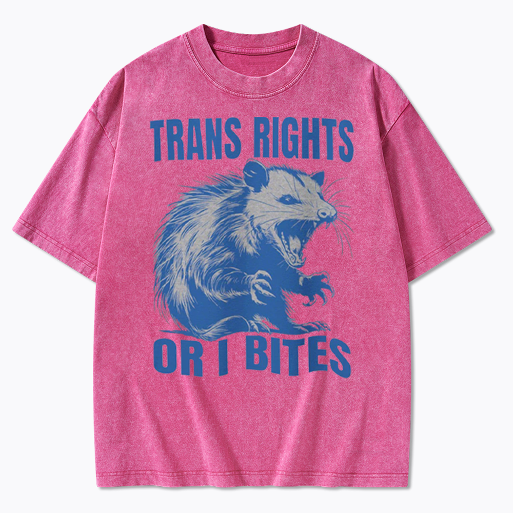 Trans Rights Washed T-Shirt