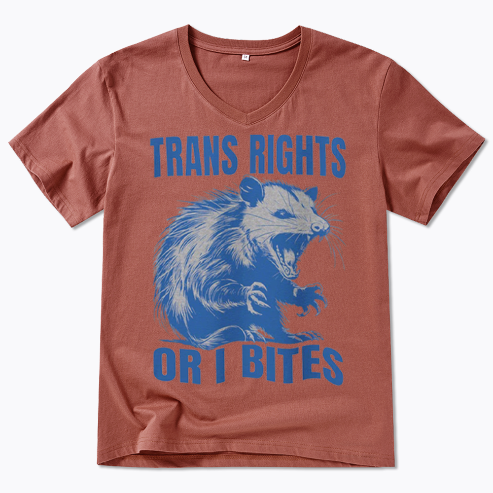 Trans Rights V-Neck Classic T-Shirt