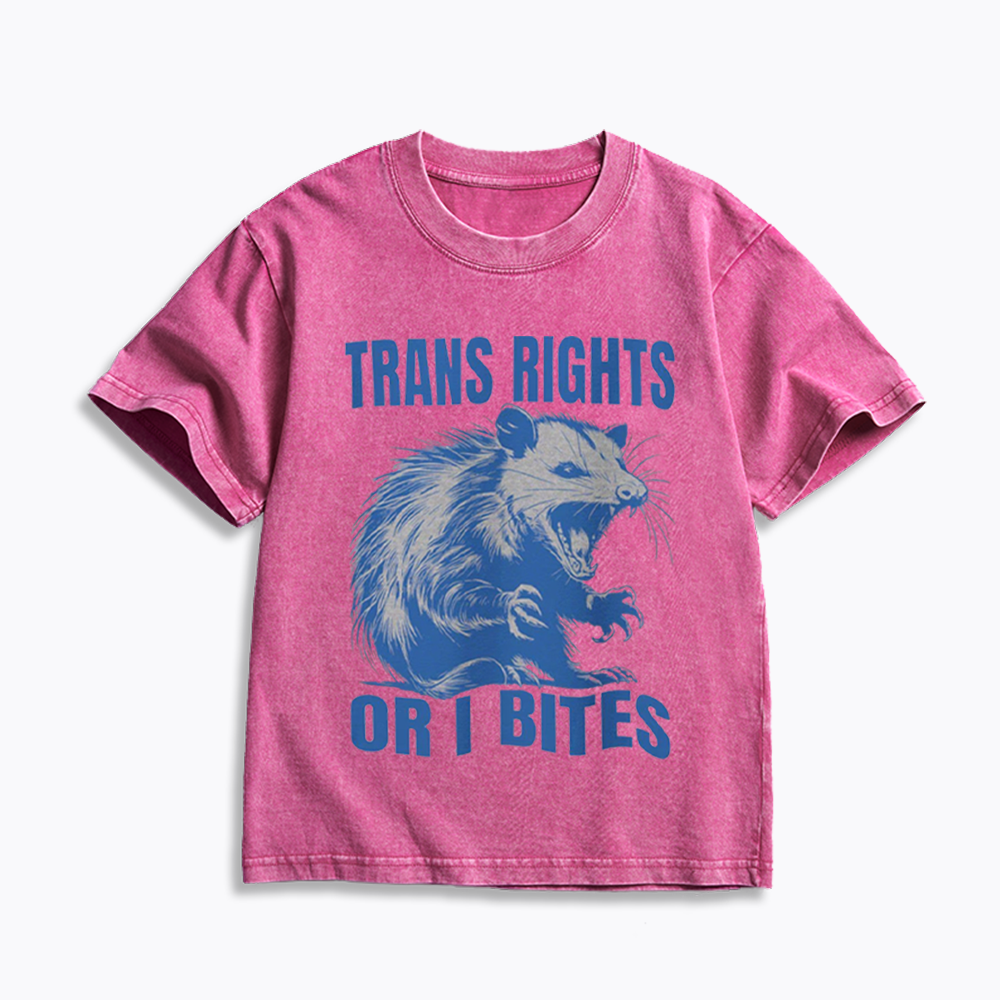 Trans Rights Kids Washed T-Shirt 