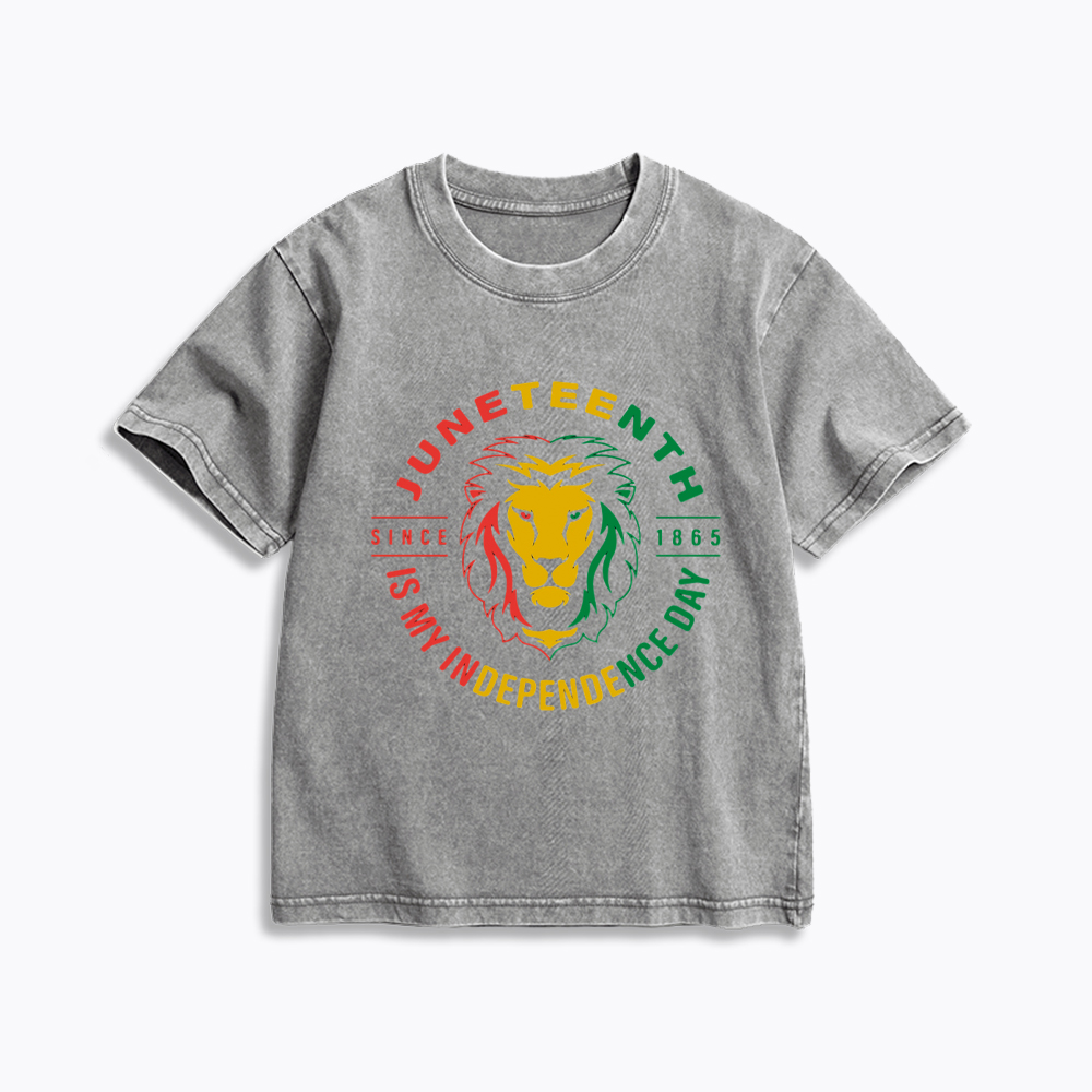 Juneteenth History Kids Washed T-Shirt