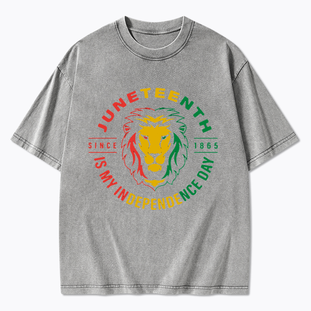 Juneteenth History Washed T-Shirt