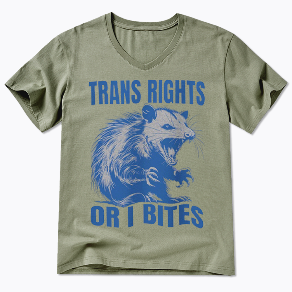 Trans Rights V-Neck Classic T-Shirt