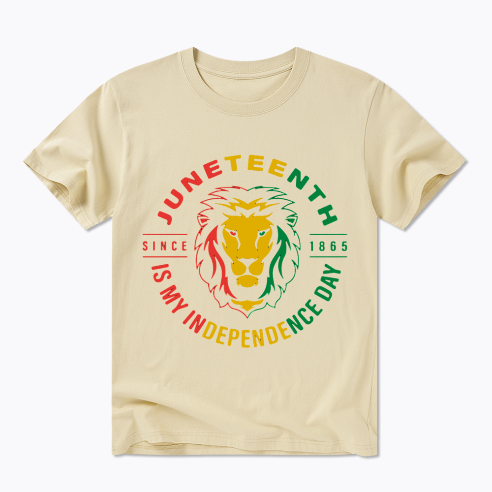 Juneteenth History Classic T-Shirt