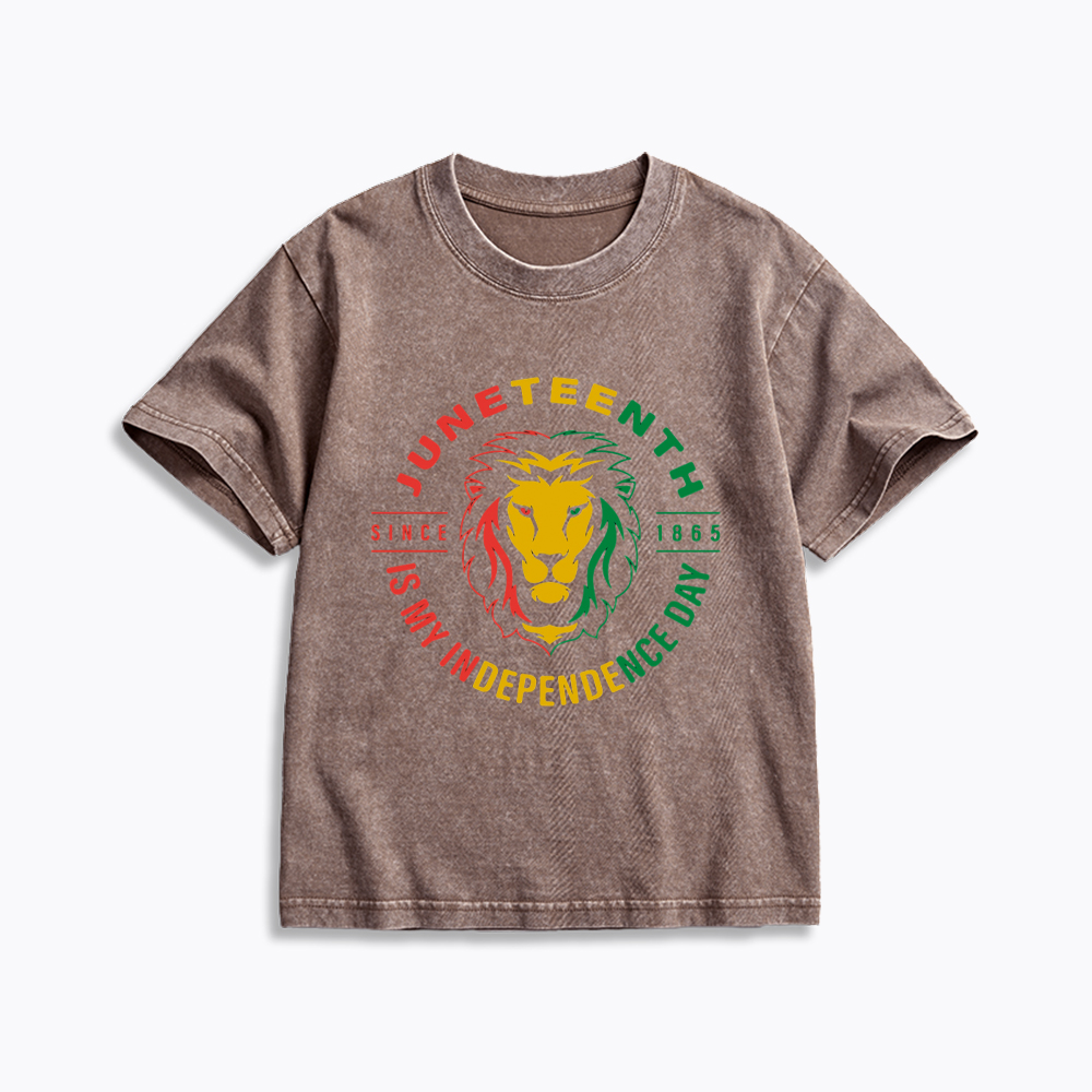 Juneteenth History Kids Washed T-Shirt