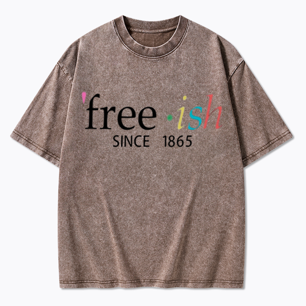 Freeish Juneteenth Since 1865 Washed T-Shirt