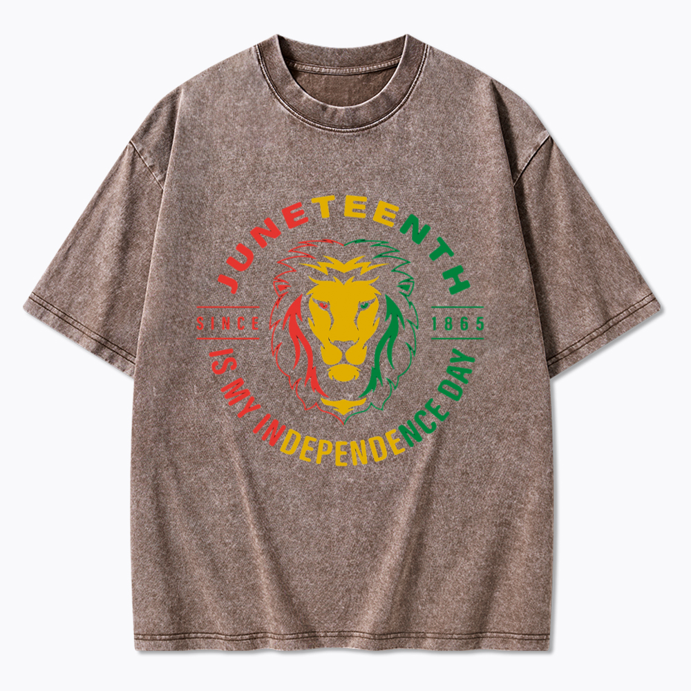 Juneteenth History Washed T-Shirt