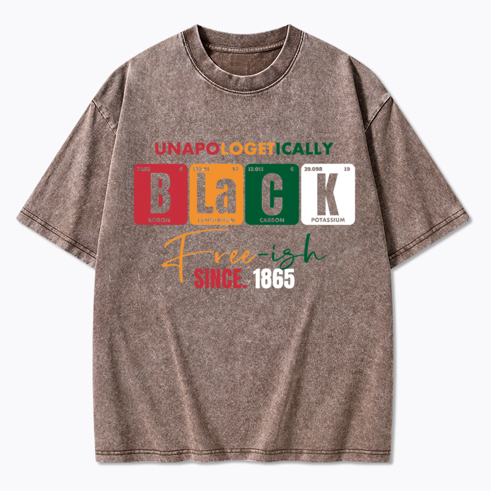 Unapologetically Black Free‑ish Since 1865 Washed T-Shirt