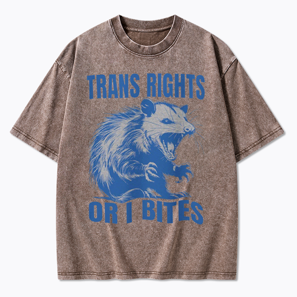 Trans Rights Washed T-Shirt