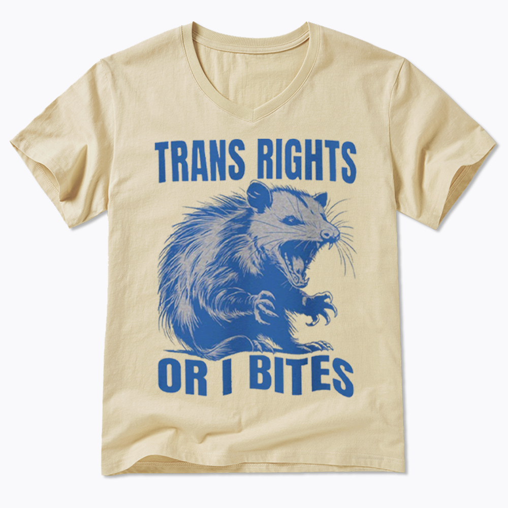Trans Rights V-Neck Classic T-Shirt