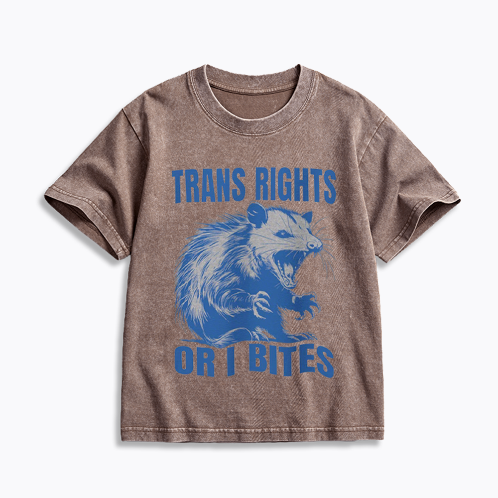 Trans Rights Kids Washed T-Shirt 