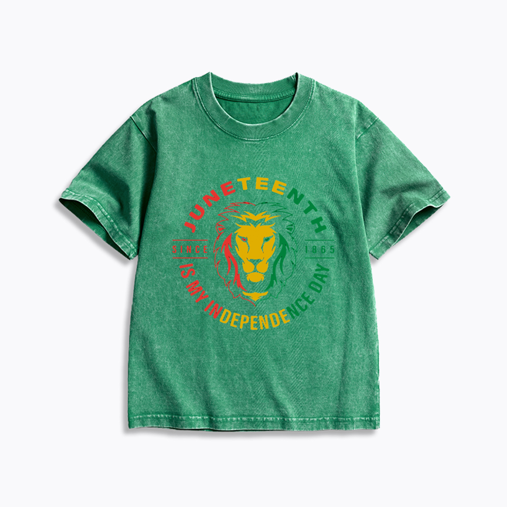 Juneteenth History Kids Washed T-Shirt