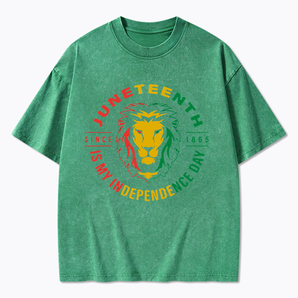 Juneteenth History Washed T-Shirt